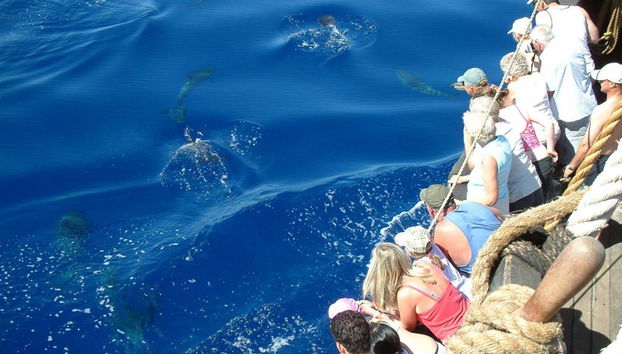 Christopher Columbus Caravel Trip - Photo 4