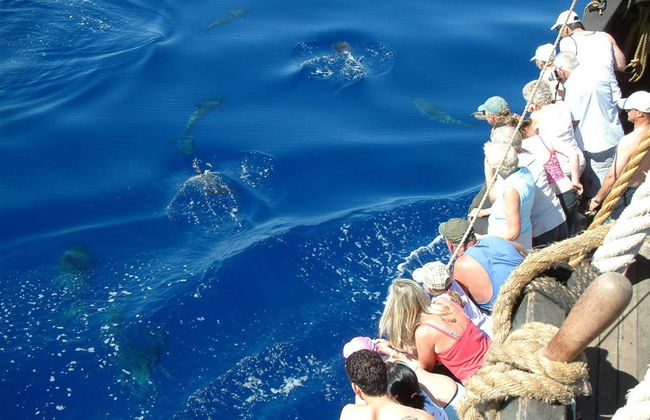 Christopher Columbus Caravel Trip - Foto 4