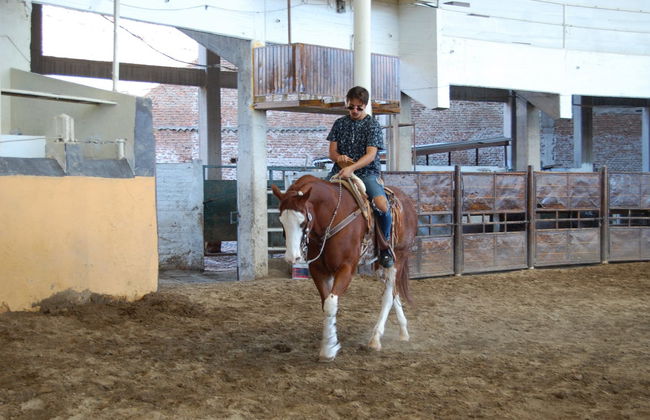 Tour de la charrería - Foto 4