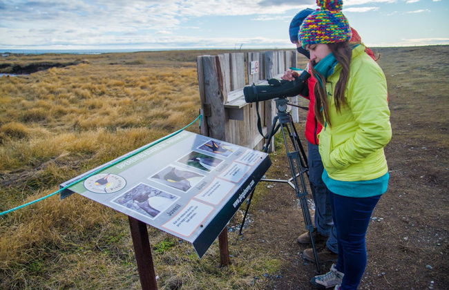 Excursión a la isla Tierra del Fuego - Foto 2