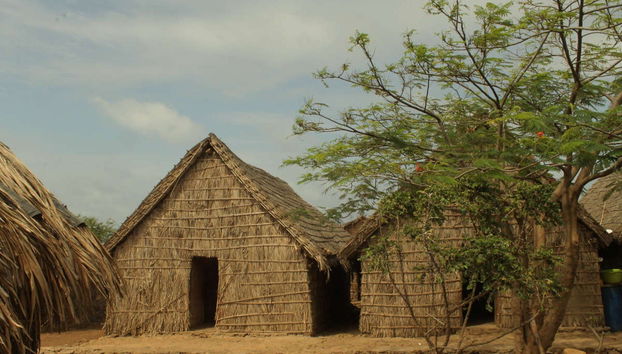 Randonnée dans le Parc Naturel Serra de Malagueta - Photo 4