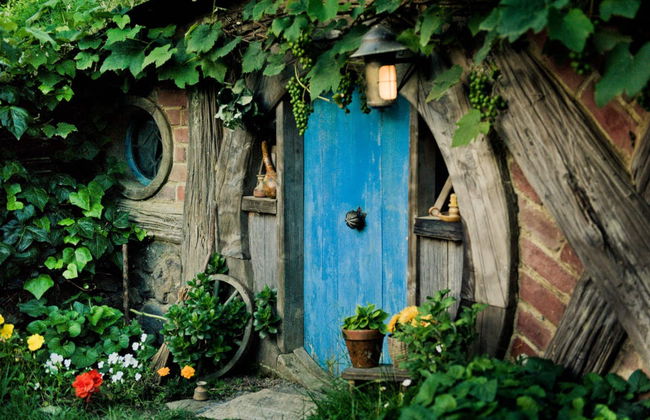 Excursión a Hobbiton - Foto 4
