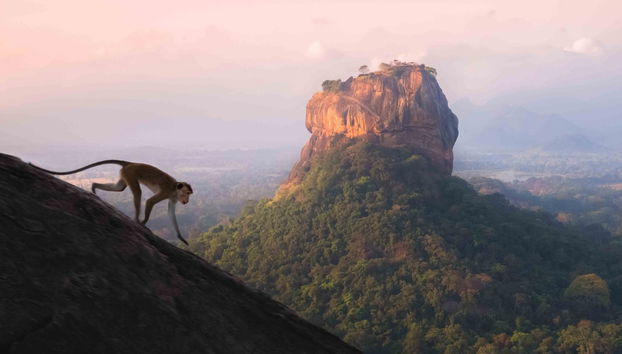 Pidurangala & Hiriwaduna Village Private Excursion - Foto 2