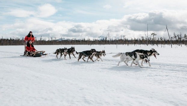 Balade en traîneau tiré par des huskies - Photo 5
