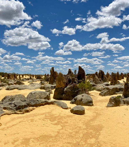 Foto de Excursión al desierto de los Pináculos