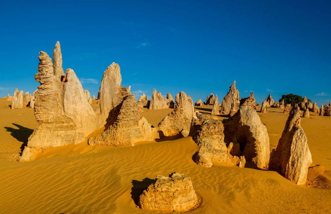 Escursione al Deserto dei Pinnacoli - Foto 1
