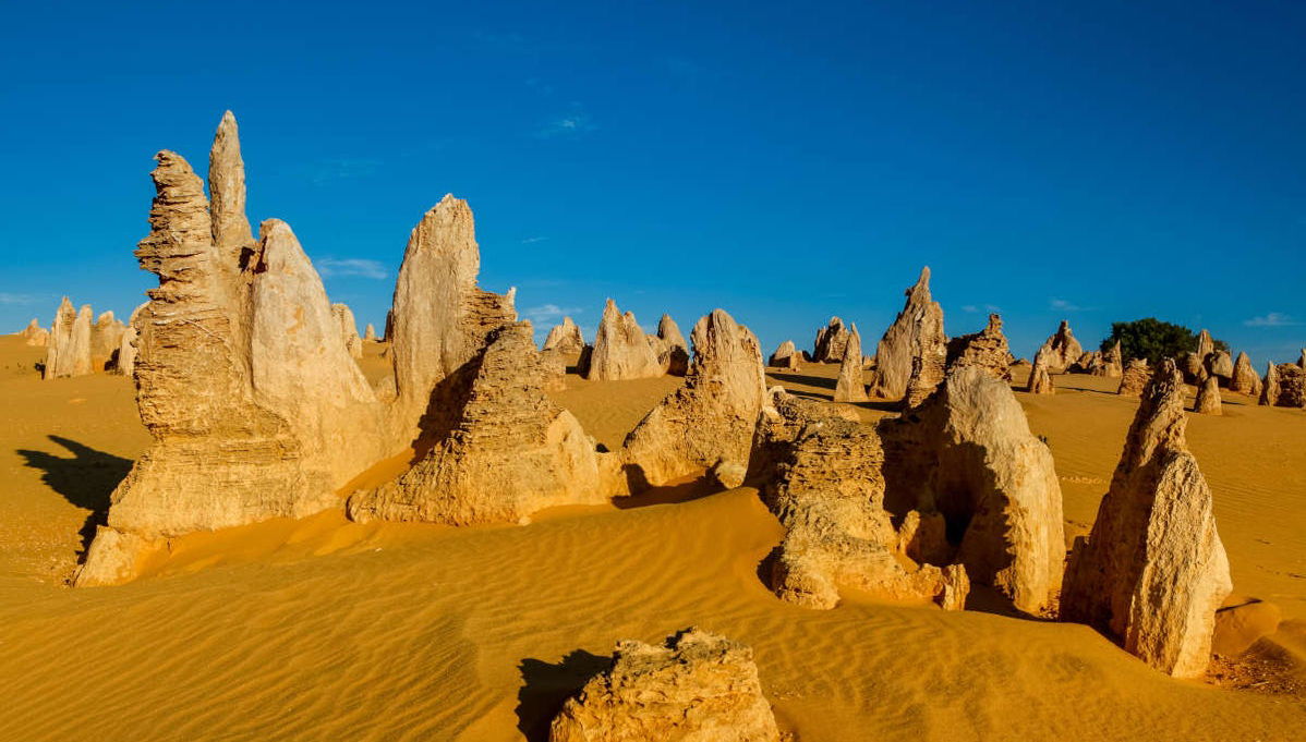 Excursión al desierto de los Pináculos - Foto 1