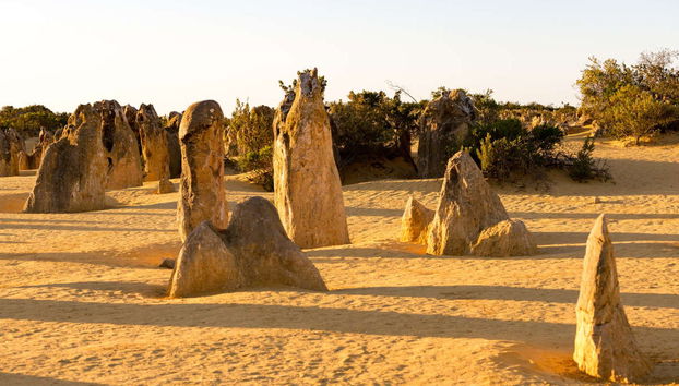 Excursión al desierto de los Pináculos - Foto 2