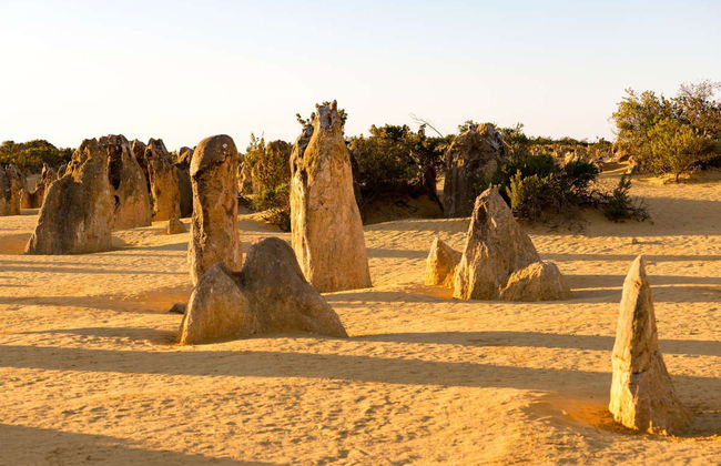 Escursione al Deserto dei Pinnacoli - Foto 2