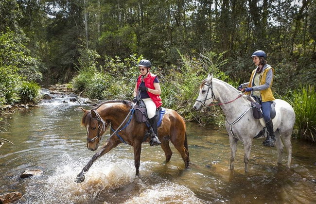 Paseo a caballo por Marmaris - Foto 4