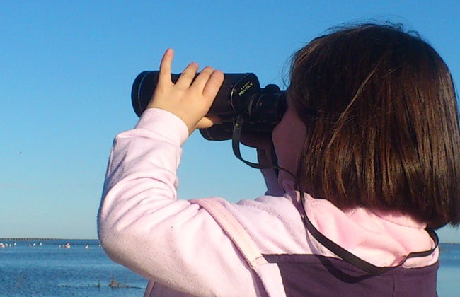 Excursion dans la baie de Fangar - Photo 8