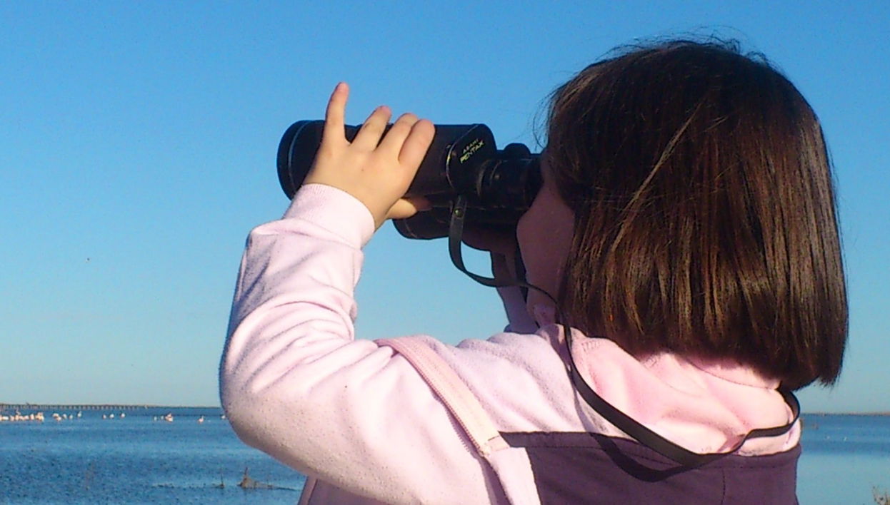 Excursion dans la baie de Fangar