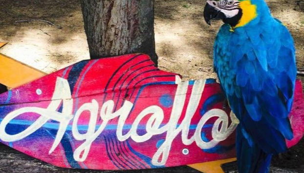 Entrada al parque Agroflori