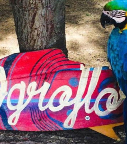 Foto de Excursión a Agroflori y Villa Albina