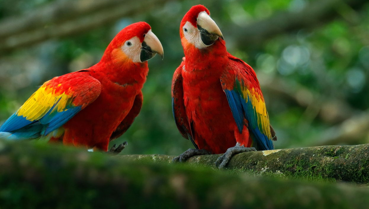 Excursión a Agroflori y Villa Albina