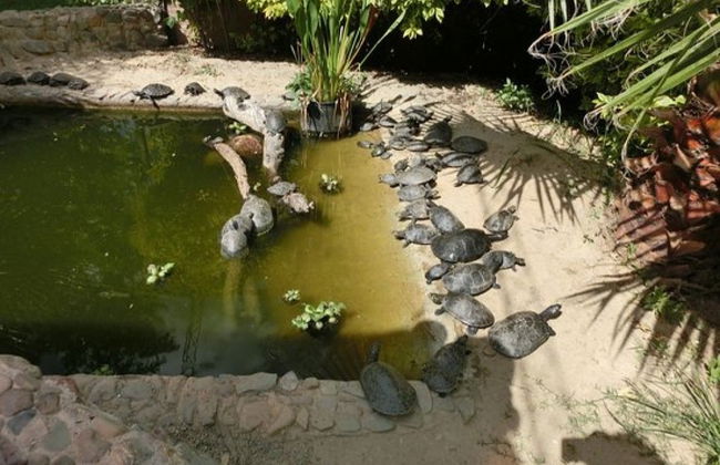 Excursion à Agroflori et à Villa Albina - Photo 4