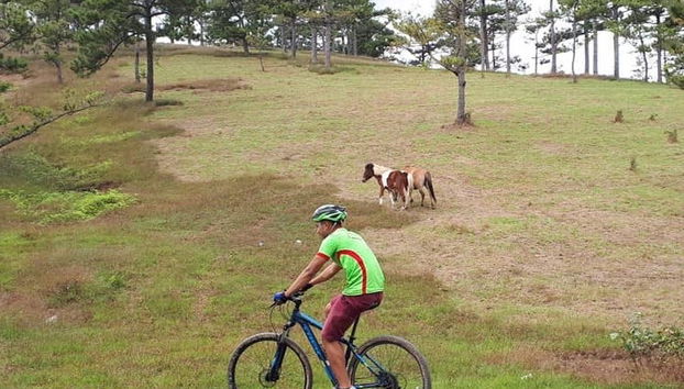 Dragon's Back Bike Tour - Foto 4