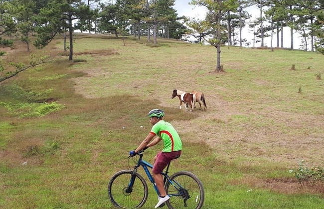 Dragon's Back Bike Tour - Foto 4