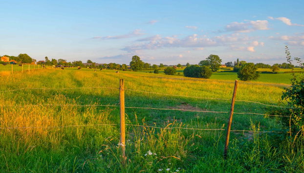 Dragon's Back Bike Tour - Foto 2