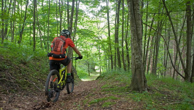 Dragon's Back Bike Tour - Foto 5