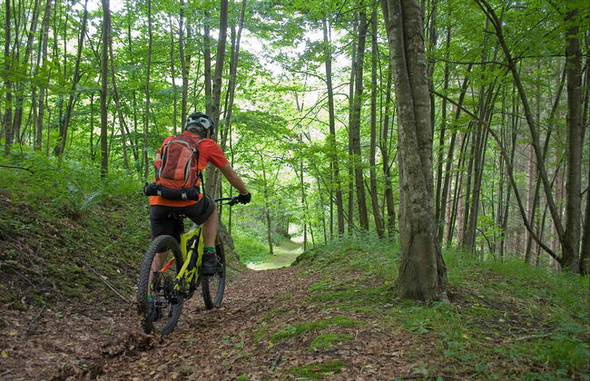 Dragon's Back Bike Tour - Foto 5