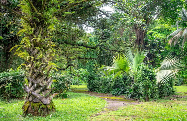 Excursión a Limbe - Foto 1