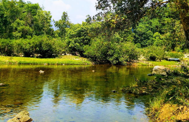 Excursión privada al mirador de elefantes de Anakulam - Foto 6