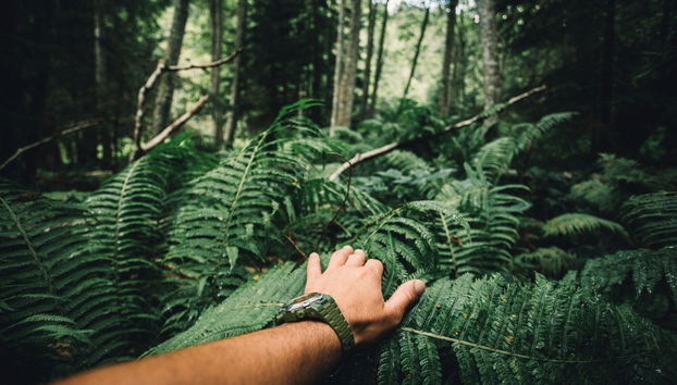 Hiking Along the Indiana Jones Trail - Foto 3