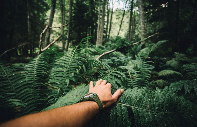 Hiking Along the Indiana Jones Trail - Photo 3