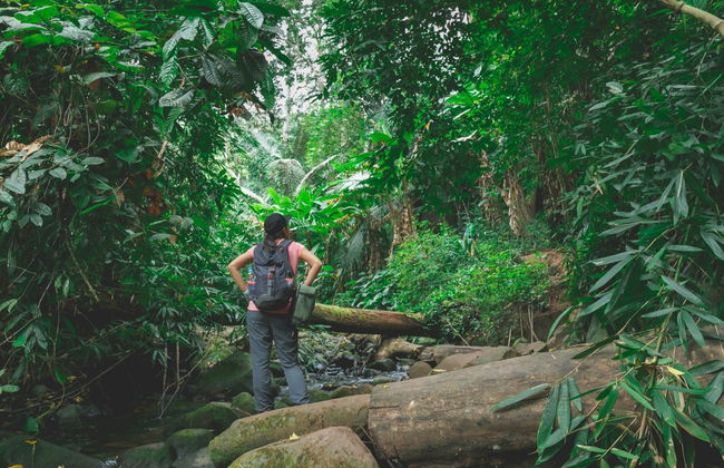 Hiking Along the Indiana Jones Trail - Photo 1