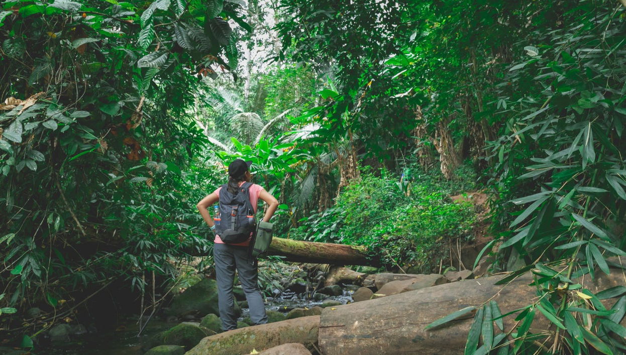 Hiking Along the Indiana Jones Trail - Foto 1