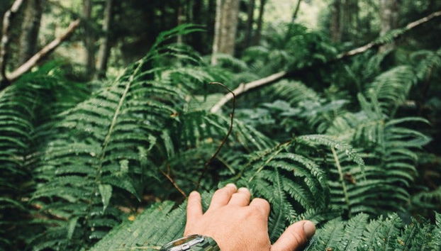 Senderismo por la Ruta de Indiana Jones + Catarata Borgoña - Foto 5