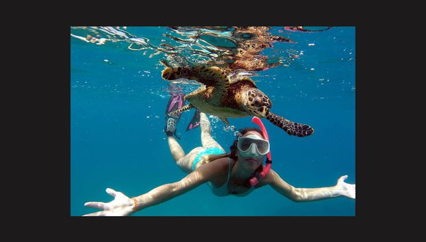 Boat Ride + Snorkeling at Sancho Beach - Photo 2