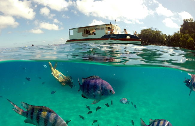 Paseo en barco + Snorkel en Playa Sancho - Foto 5