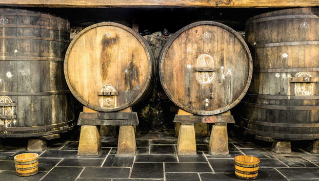 Traditional Basque Cider House Tour - Foto 2