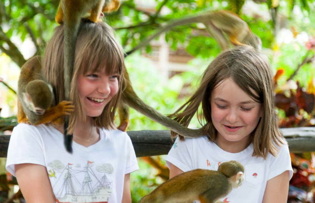 Excursion à Monkeyland - Photo 9