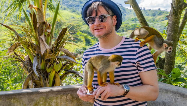 Interagissez avec les singes de Monkeyland