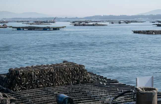Excursión a las Rías Baixas - Foto 4