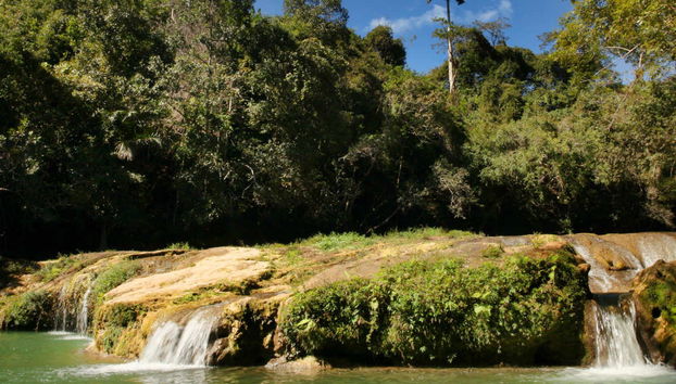 Las Terrazas & Soroa Private Trip - Foto 5