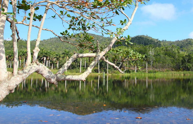 Las Terrazas & Soroa Private Trip - Photo 1