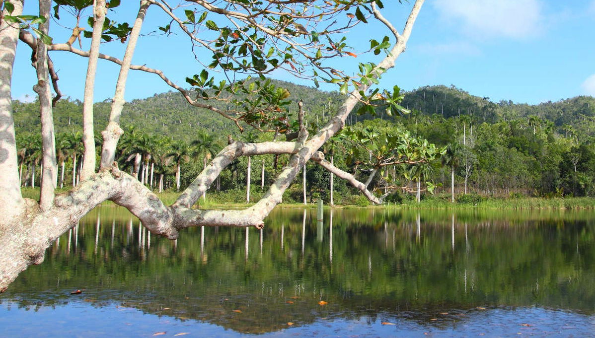 Las Terrazas & Soroa Private Trip - Foto 1