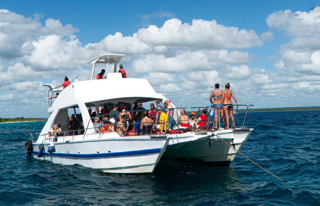 Catalina Island Boat Tour + Snorkel - Foto 5