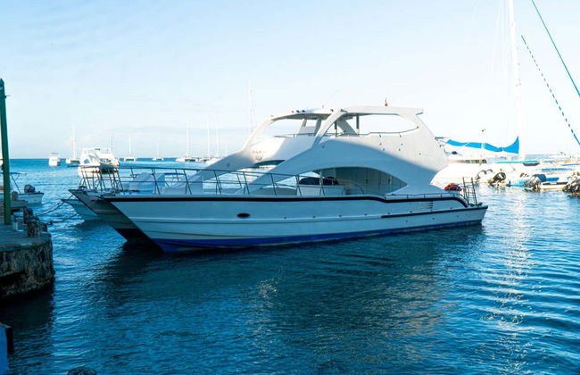 Excursão à Isla Catalina com snorkel - Foto 2