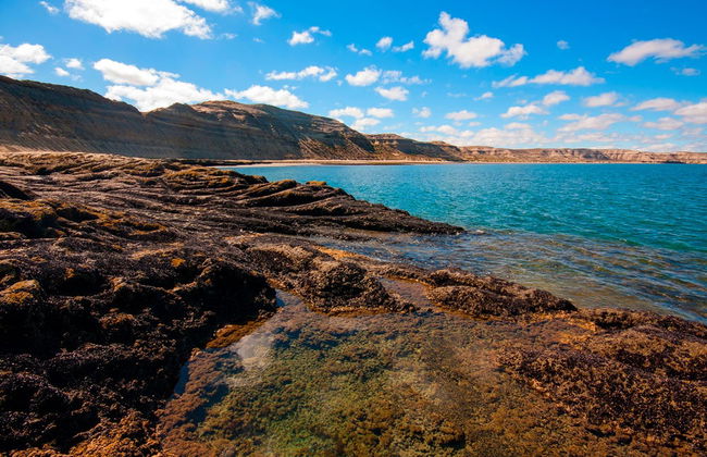 Whale Watching in Valdes Peninsula - Foto 1