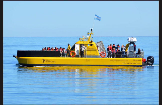 Whale Watching in Valdes Peninsula - Foto 3