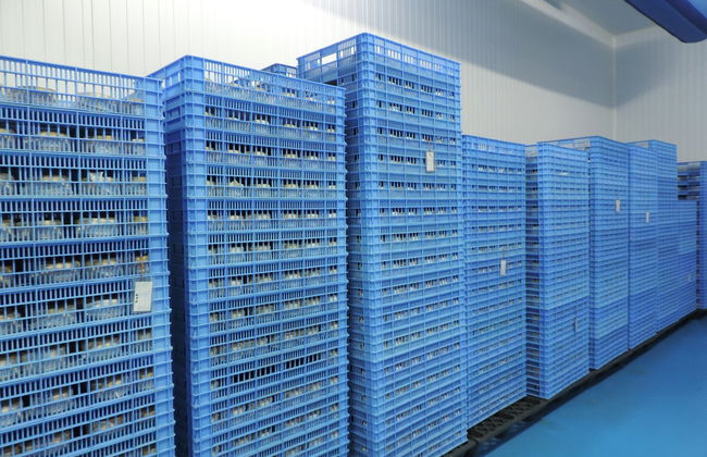 Visita a la quesería Los Casareños - Foto 6