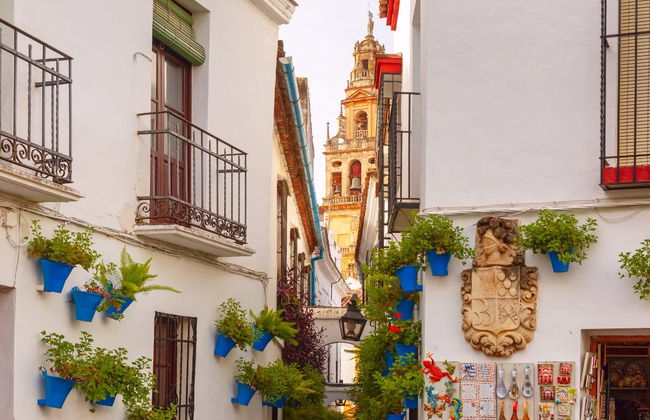Visita guiada pela Mesquita e pelo bairro da Judería - Foto 3