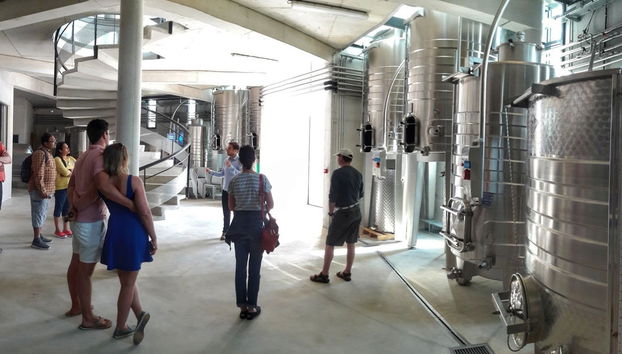 Excursion à Grasse + Dégustation de vins - Photo 5