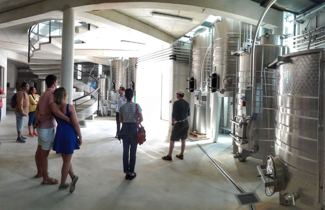 Excursion à Grasse + Dégustation de vins - Photo 5