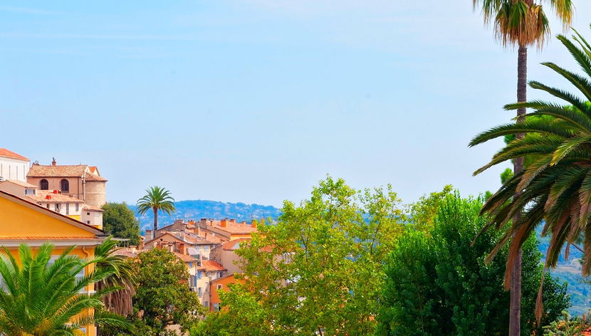 Excursión a Grasse + Cata de vinos